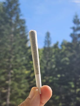 Matsumoto 1g King pre-roll