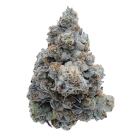 Gelato 33