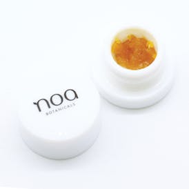 Noa Botanicals: Ice Cream Cake - 1g Live Resin Sugar Wax