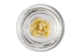 Elite Extractions - Apple Cheesecake 1 G
