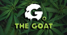Goat T Shirt