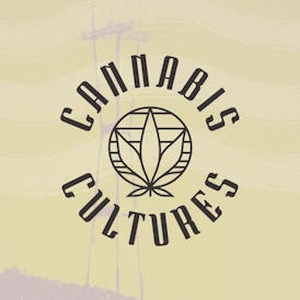 Cannabis Cultures Lighters