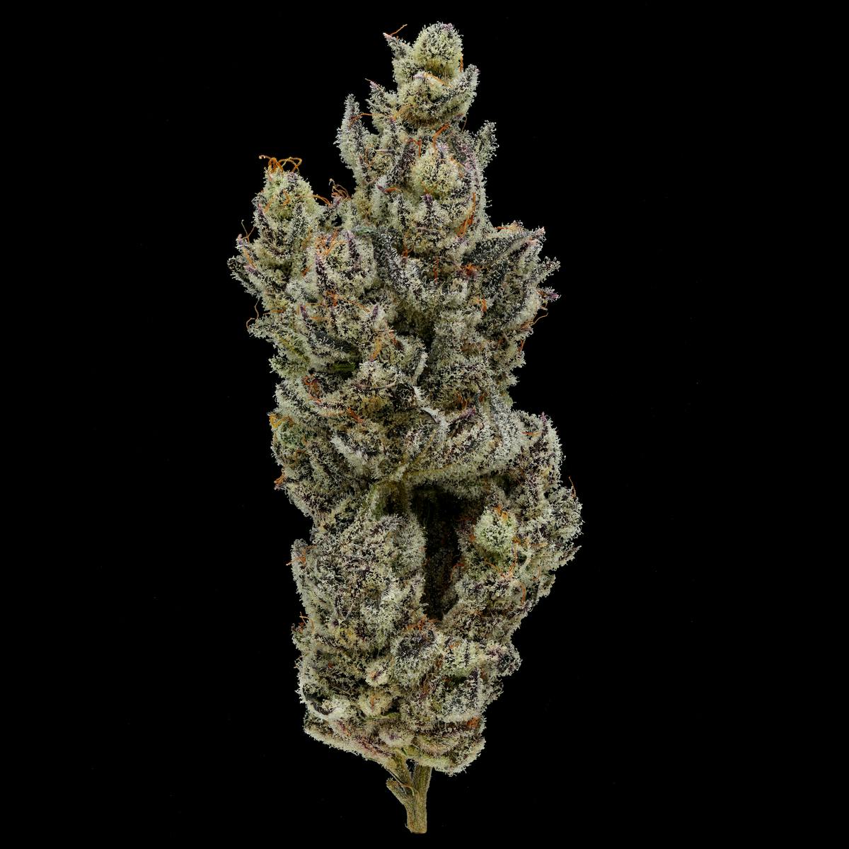 Fig Farms — Mint