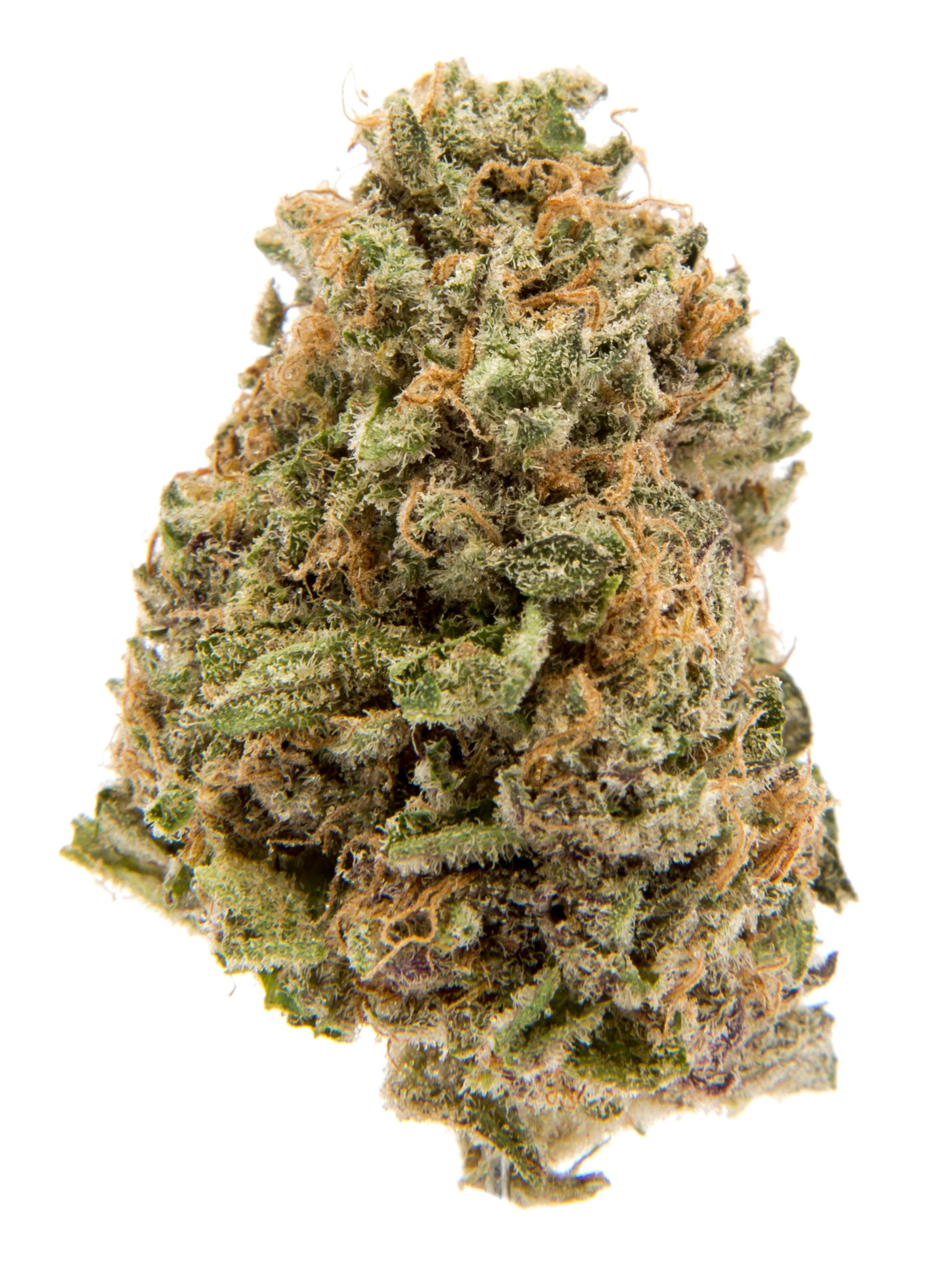 Blue Dream 1 Gram preroll 27.5% Hybrid Sativa