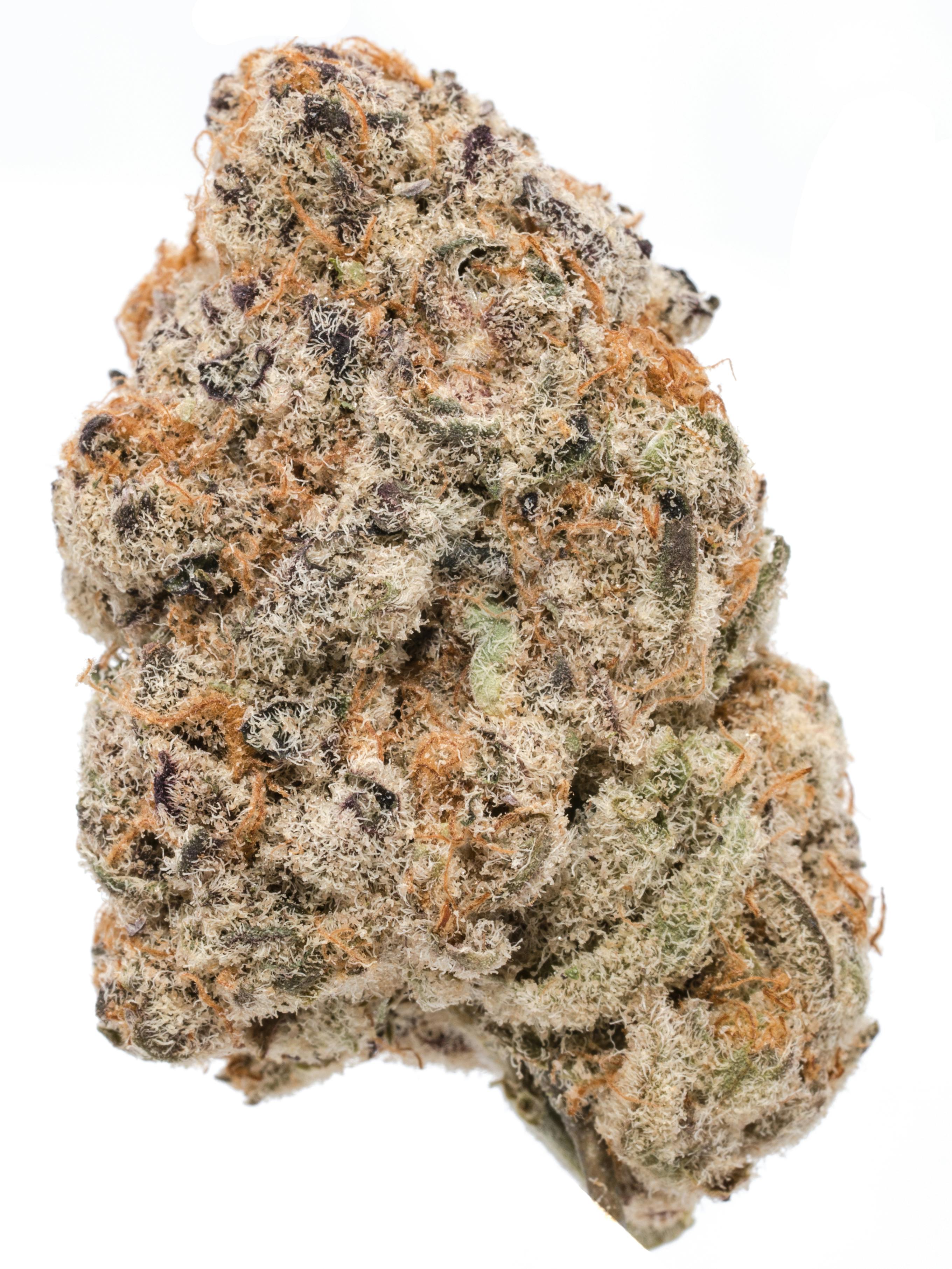 $75 1/2 OZ Kush Mints x Sherbhead 35.12% Happy Goat Indoor Frosted Indica