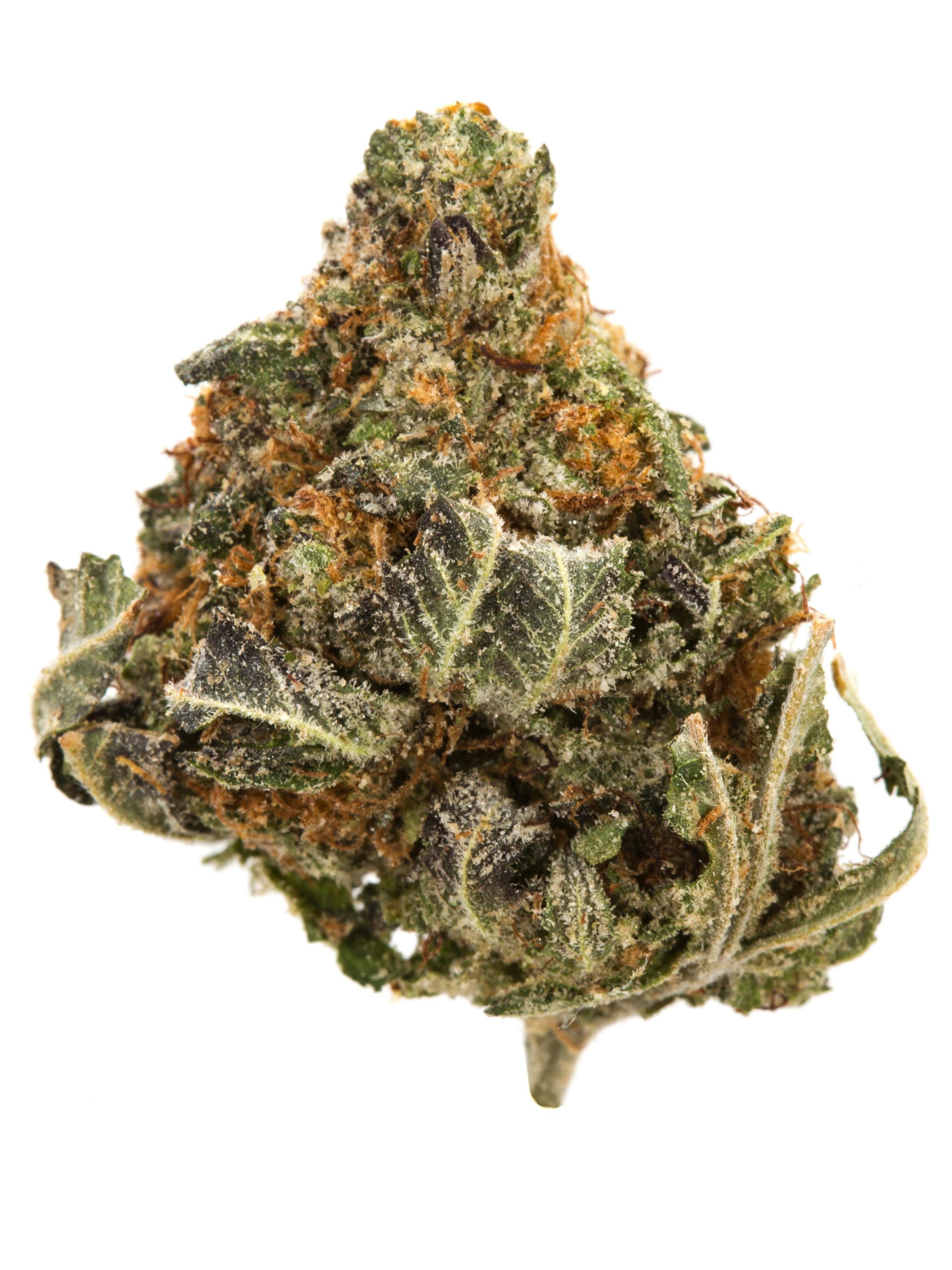 $40 1/2 Oz Space Dust 25.96% Hybrid Indica