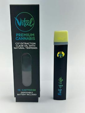Black Dog 1g Disposable (Vital)