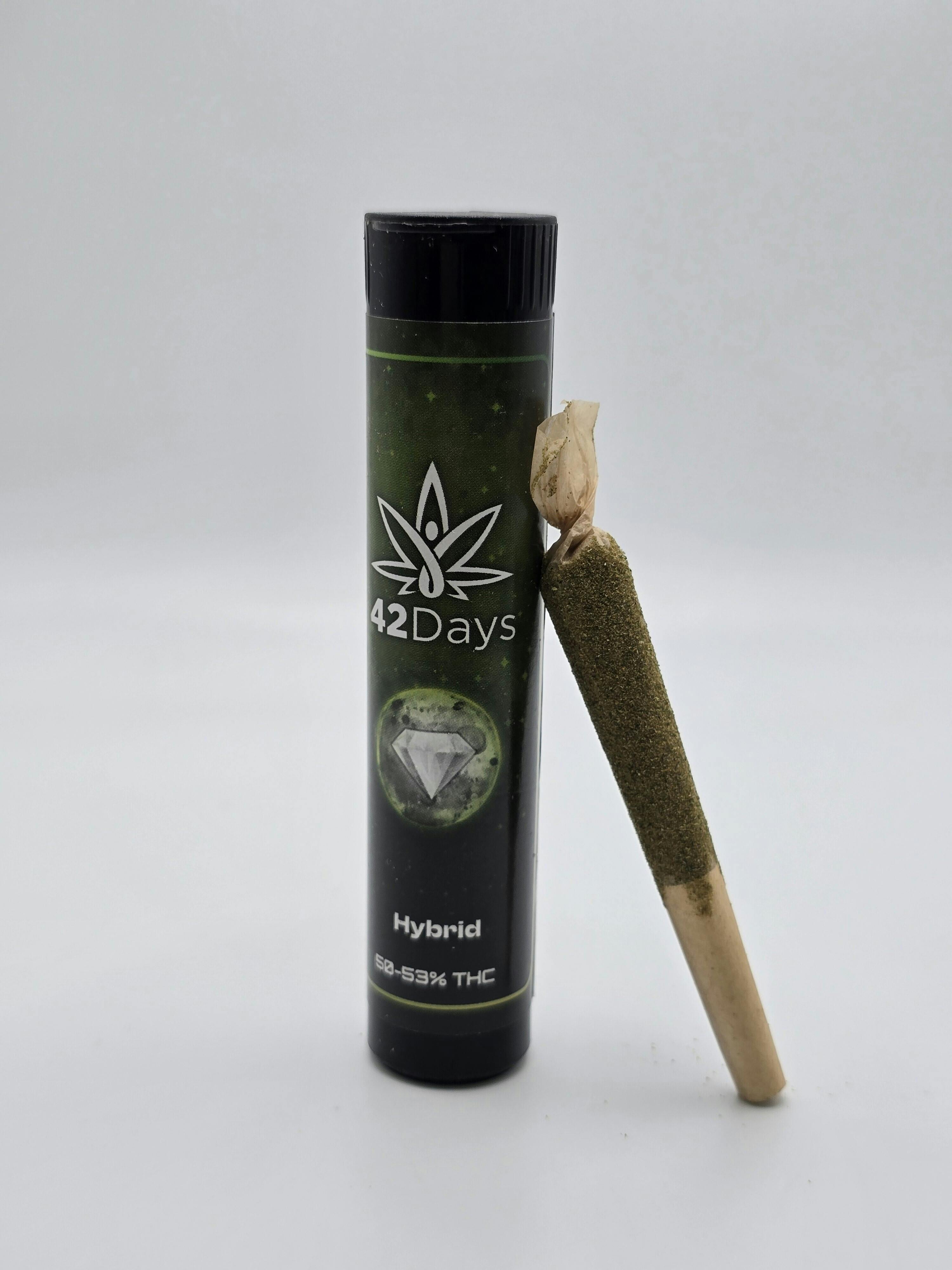 Apple Fritter Infused Pre-Roll at Empire Garden Cannabis Dispensary