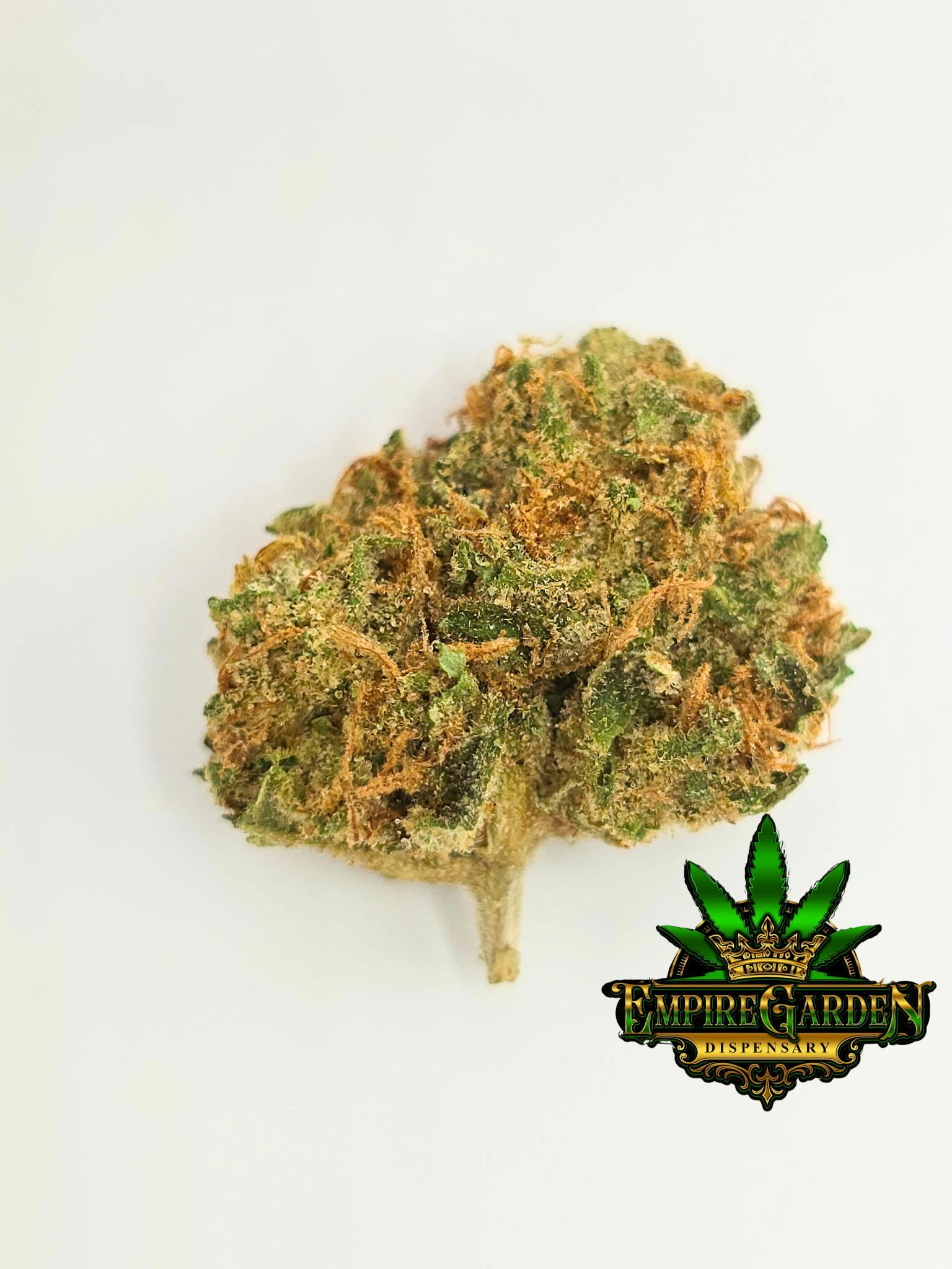 Dpf Bacio Gelato Flower