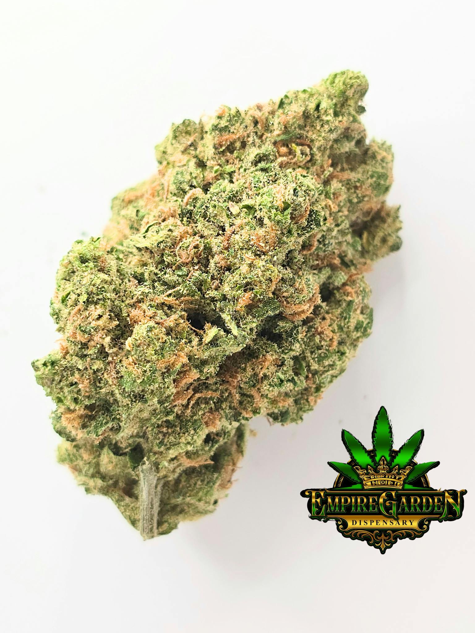 Ganjika Gardens | Blue Dream (Sativa)