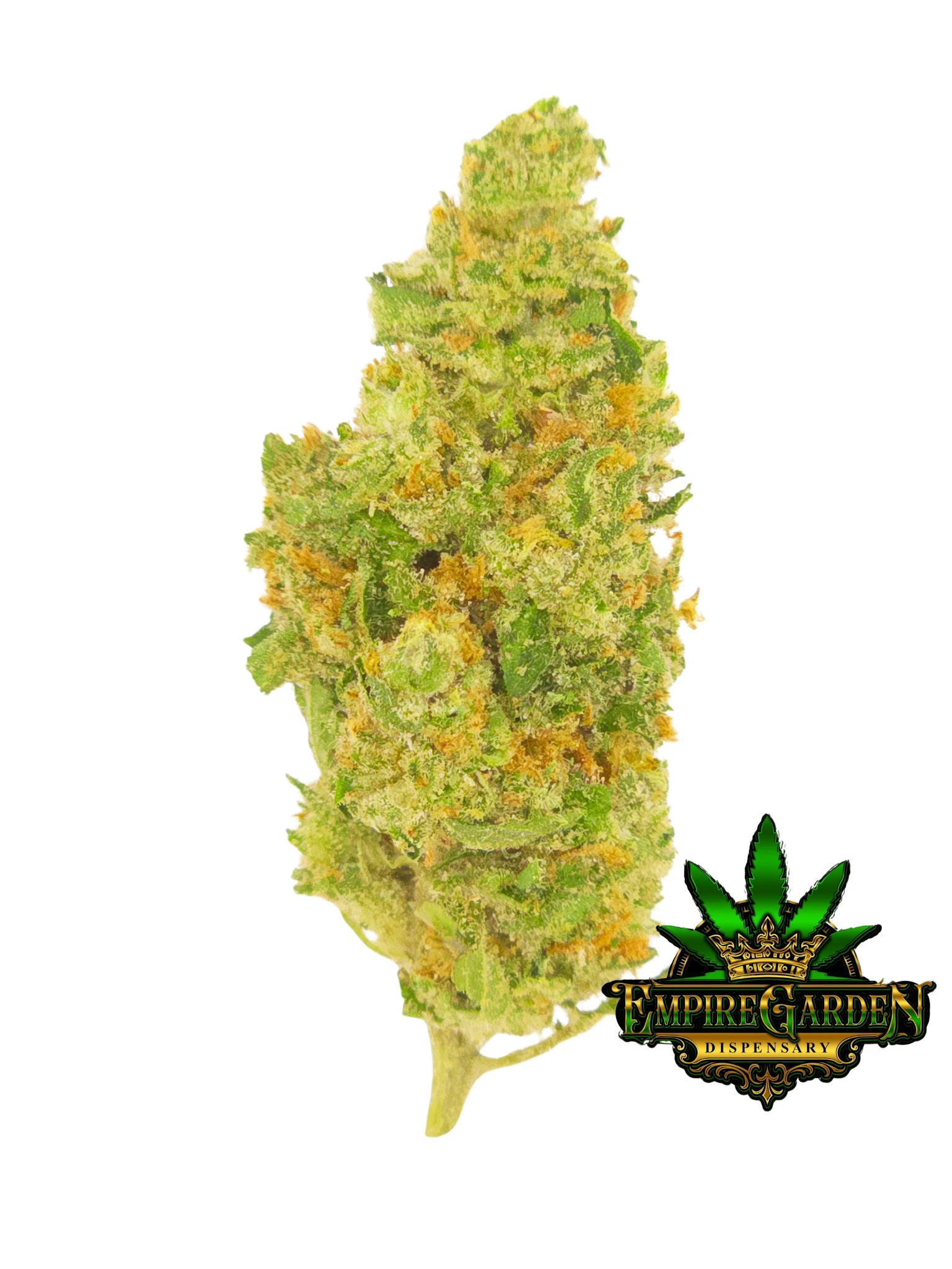 Jack Herer