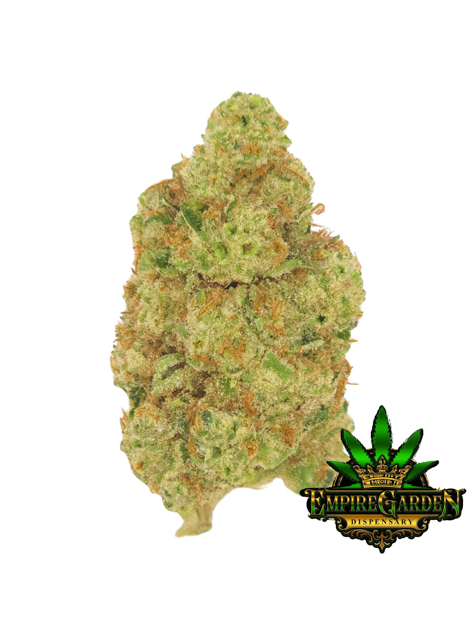 Truforia | Sub Zero (Hybrid)