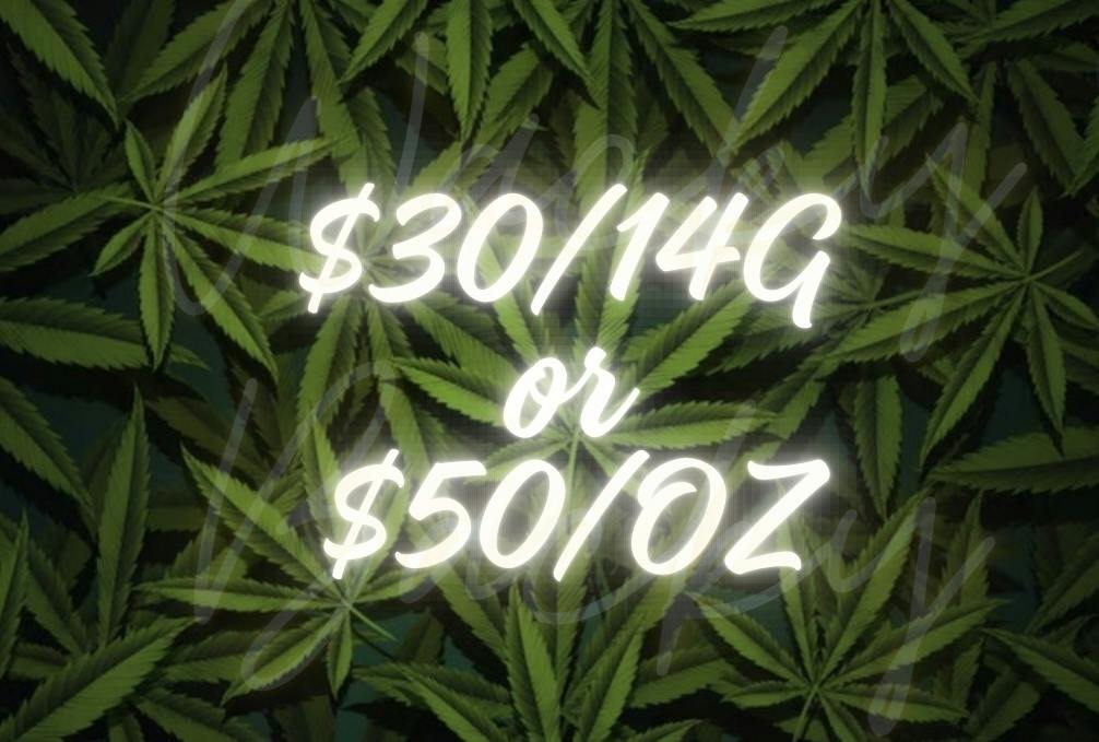 GUMBO B BUD 14G