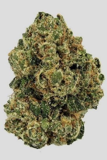 TOP SHELF - PARIS OG 14G INDICA 30%