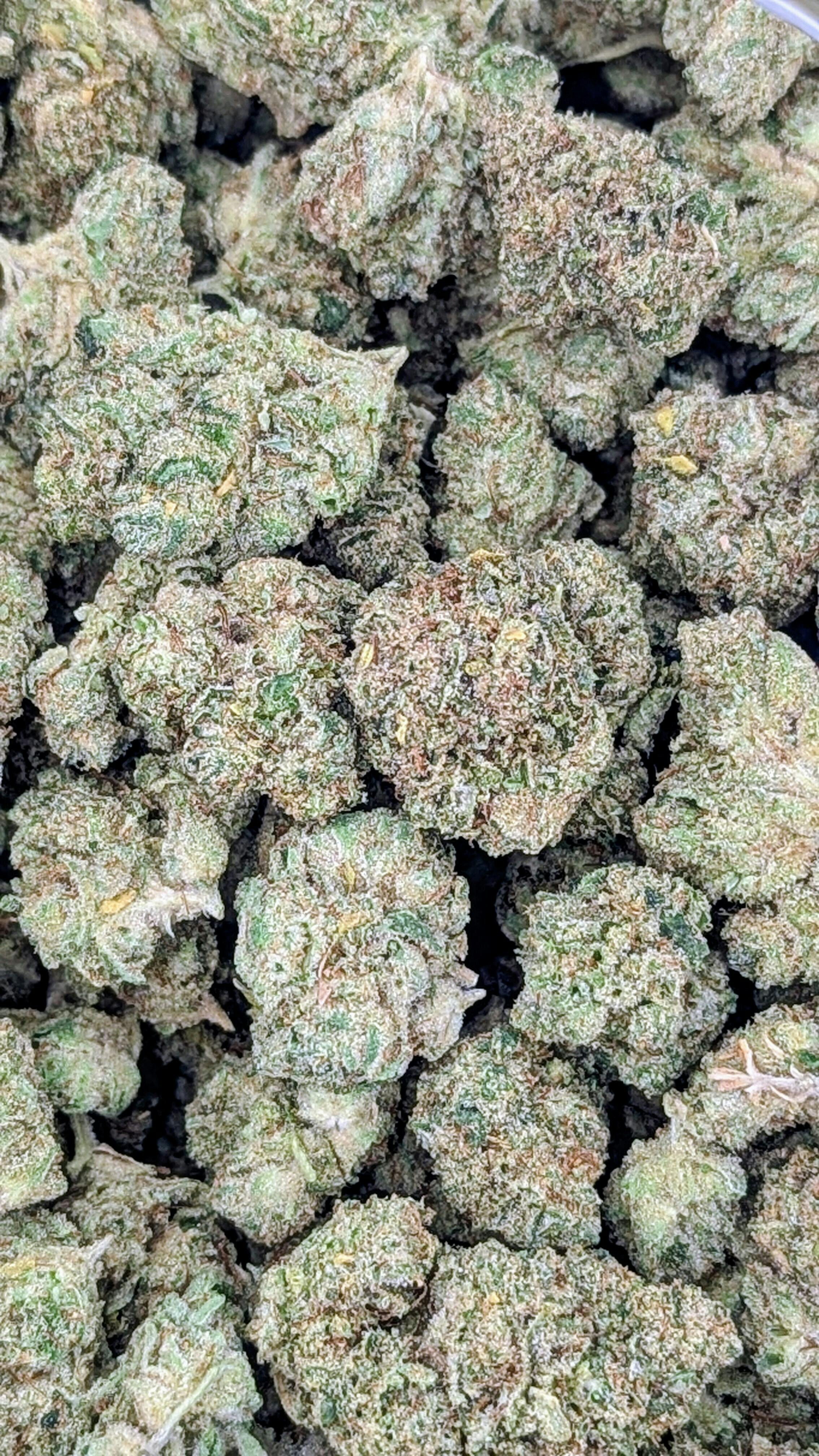 Medical Flower - Gorillas Gone Bananas (H) - Loose