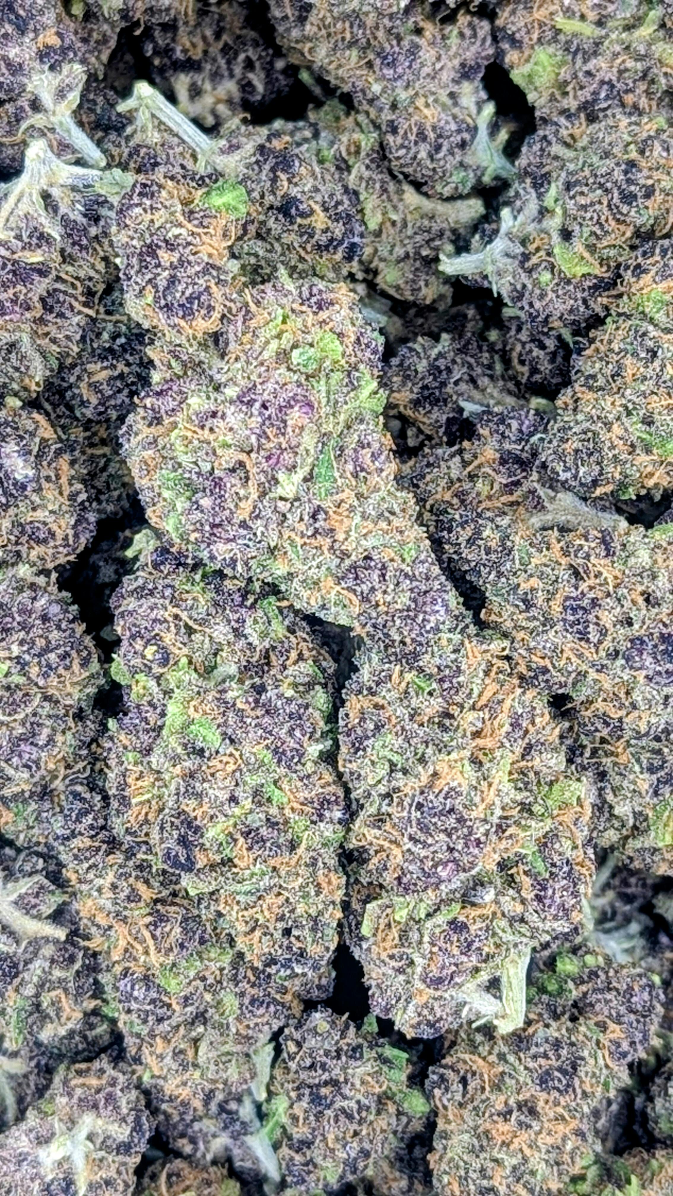 Medical Flower - Dark Chocolate (S) - Loose