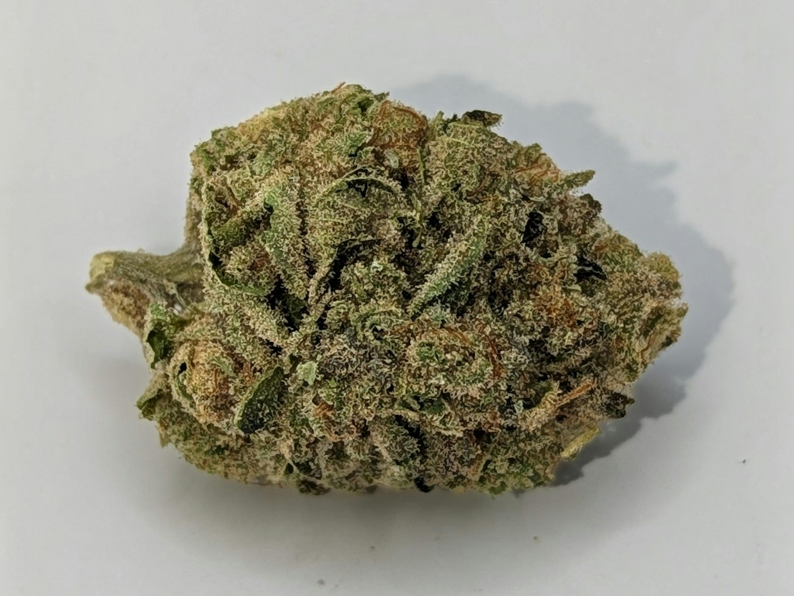 Medical Flower - Cherry Punch (H) - Loose