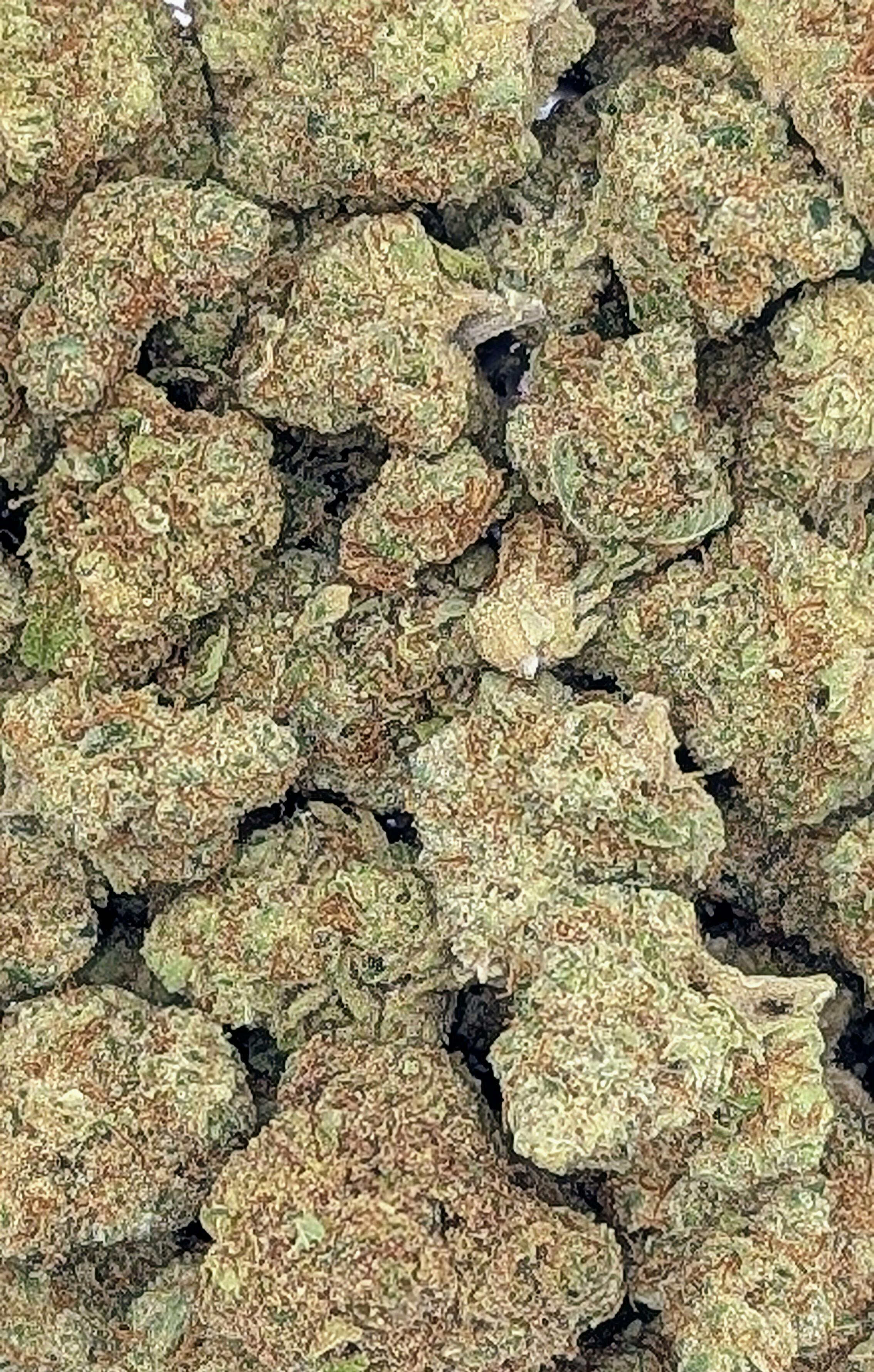 Medical Popcorn- Easy Bake (I) - Loose