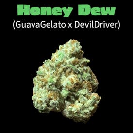 Honey Dew