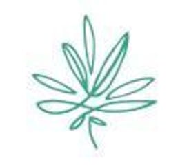 CBD Tincture 1200mg