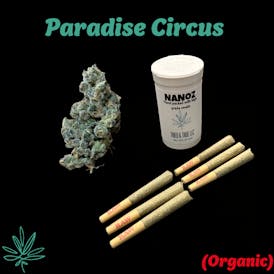 Nanoz - 6 - .50g Joints - Paradise Circus