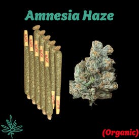 10 - 1g Joints - Amnesia Haze