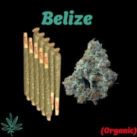 10 - 1g Joints - Belize