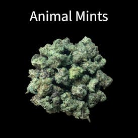 Small Buds - Animal Mints