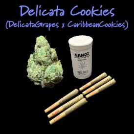 NANOZ - 6 - .50g - Delicata Cookies