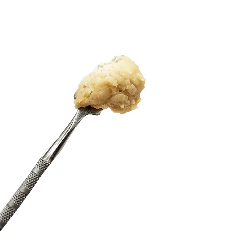 Blockberry | Live Rosin | 1g