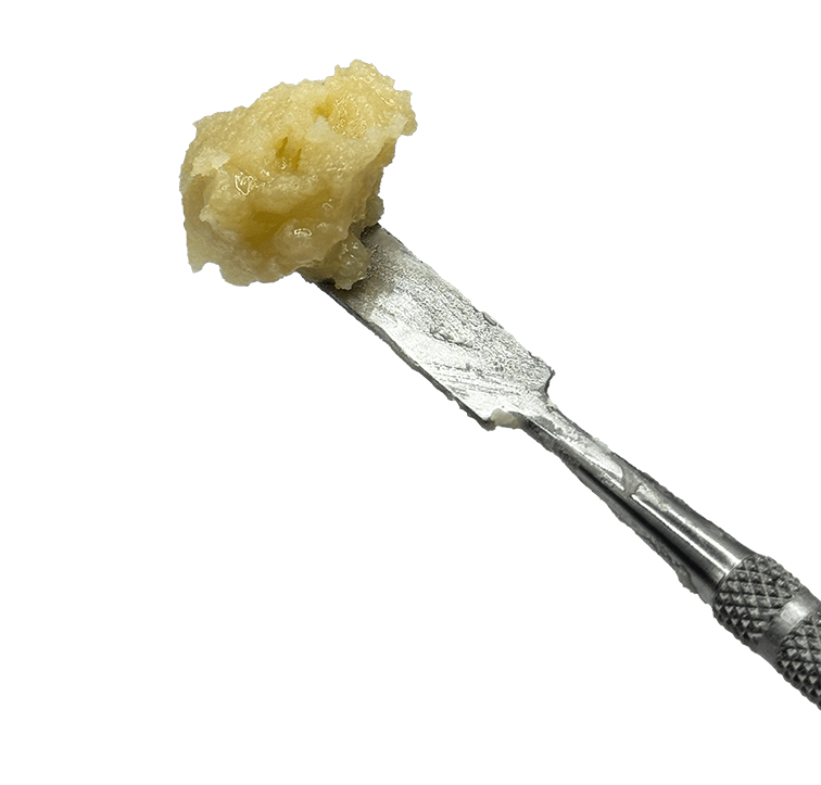 Black Maple | Deli-Style Live Rosin | Local Grove | Price Level 2 cannabis product