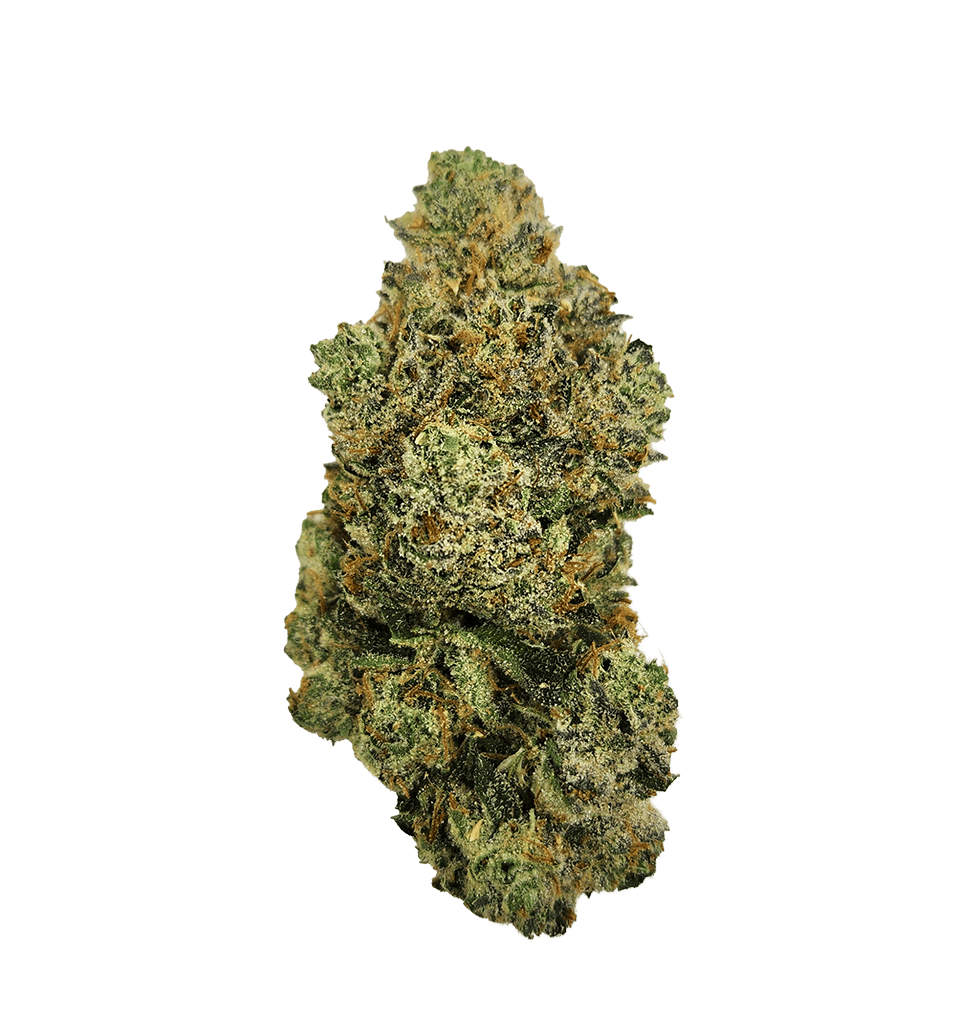Pink Sour #10 | The Hive Flower