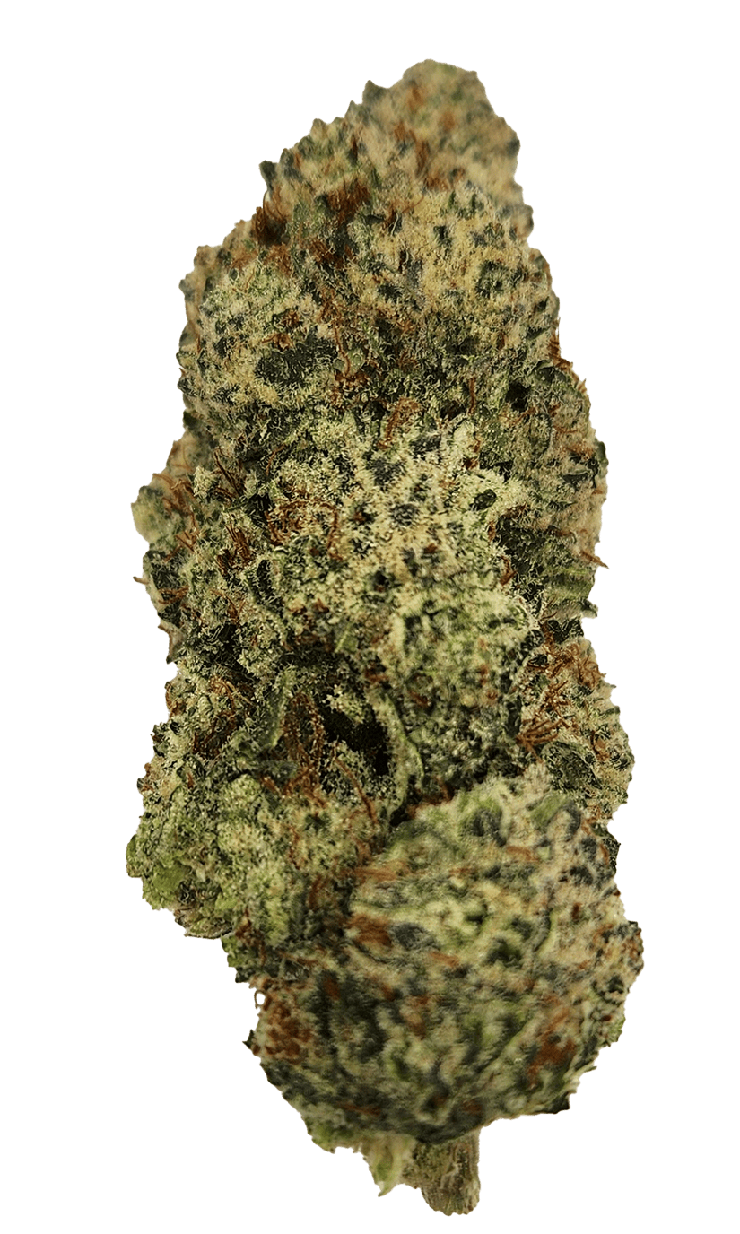 Hash Bee OG | The Hive Flower