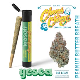 1G PreRoll Peanut Butter Breath (h:50%|50%) - Cheech & Chong's