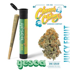 1G PreRoll Juicy Fruit (h:50%|50%) - Cheech & Chong's