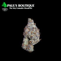 EIGHTH Dessert Runtz (I) - Paul's Boutique
