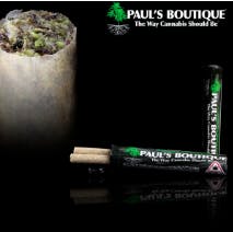 0.5G PreRoll Pack (2) Dessert Runtz (I) - Paul's Boutique