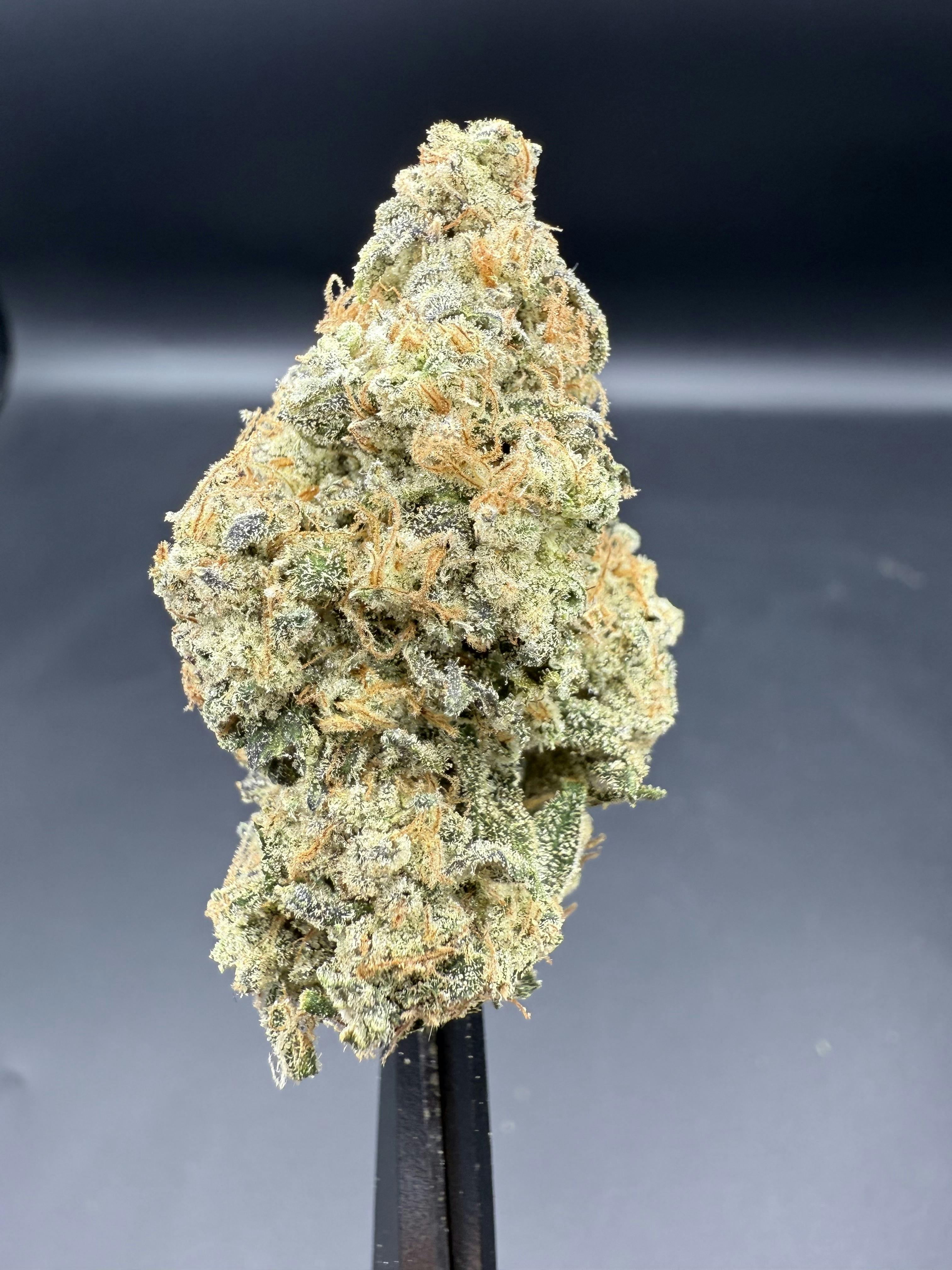 Herbal Dreams Panty Dropper Flower