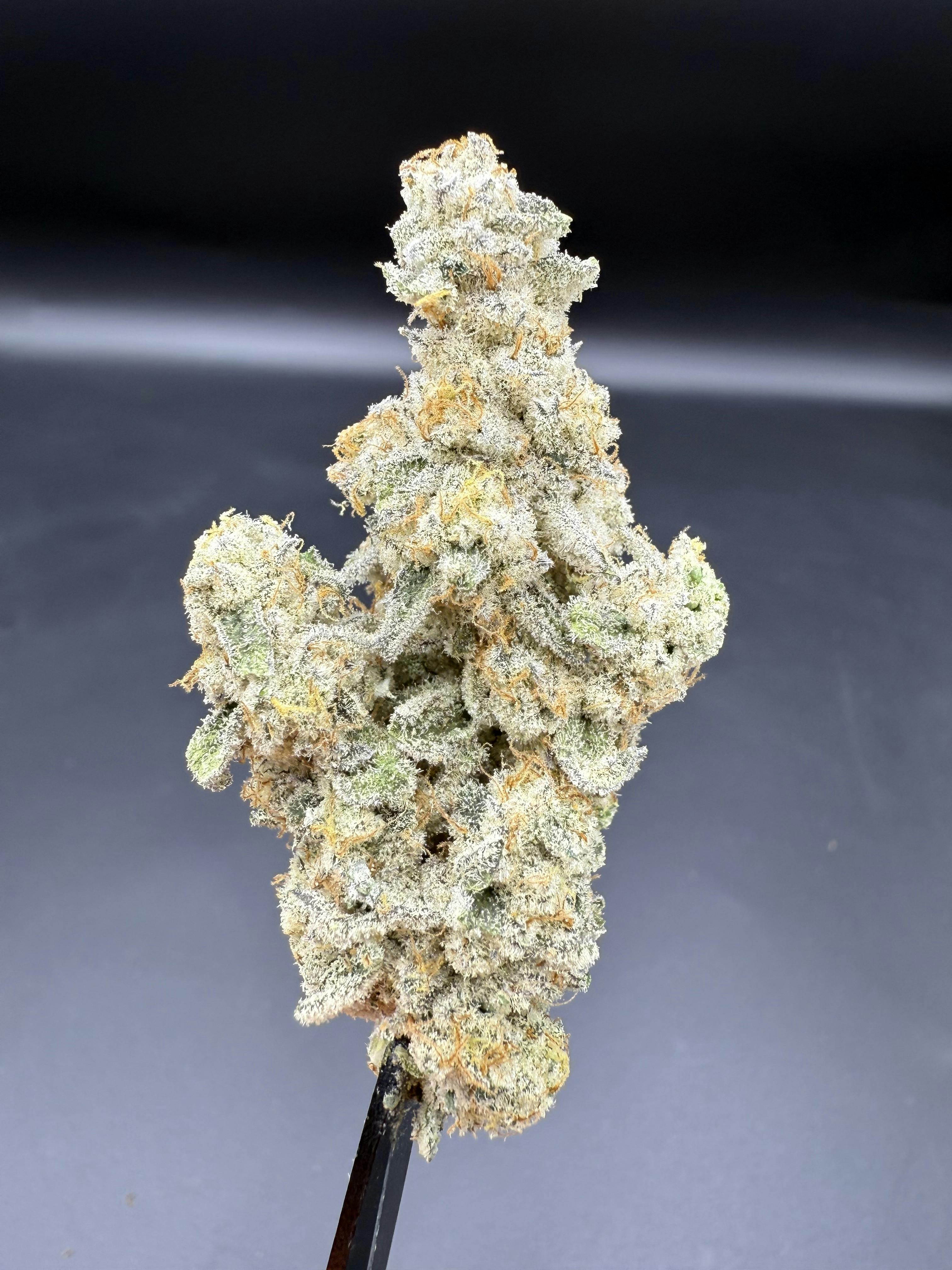 Herbal Dreams Cap Junky Flower