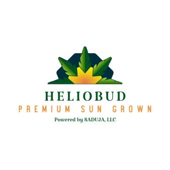 Heliobud Infused Tea - 100mg - Black Tea - 0235