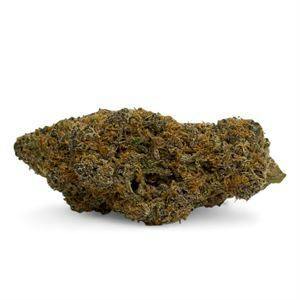 Jive Cannabis Co. | Tropical Flame (Sativa Hybrid) - 3.5g