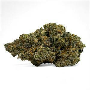 Jive Cannabis Co. | Jelly Zonuts (Hybrid) | 3.5g