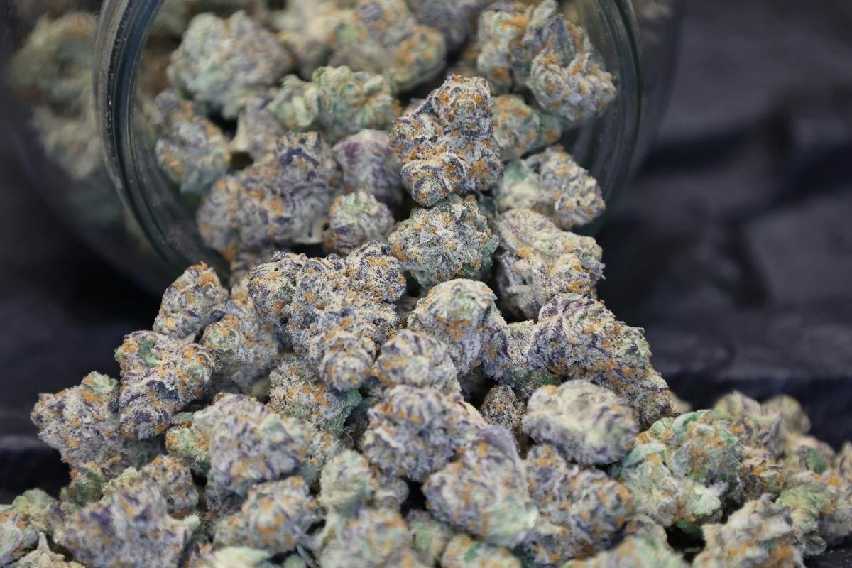 Jive - California Raisins - 28g