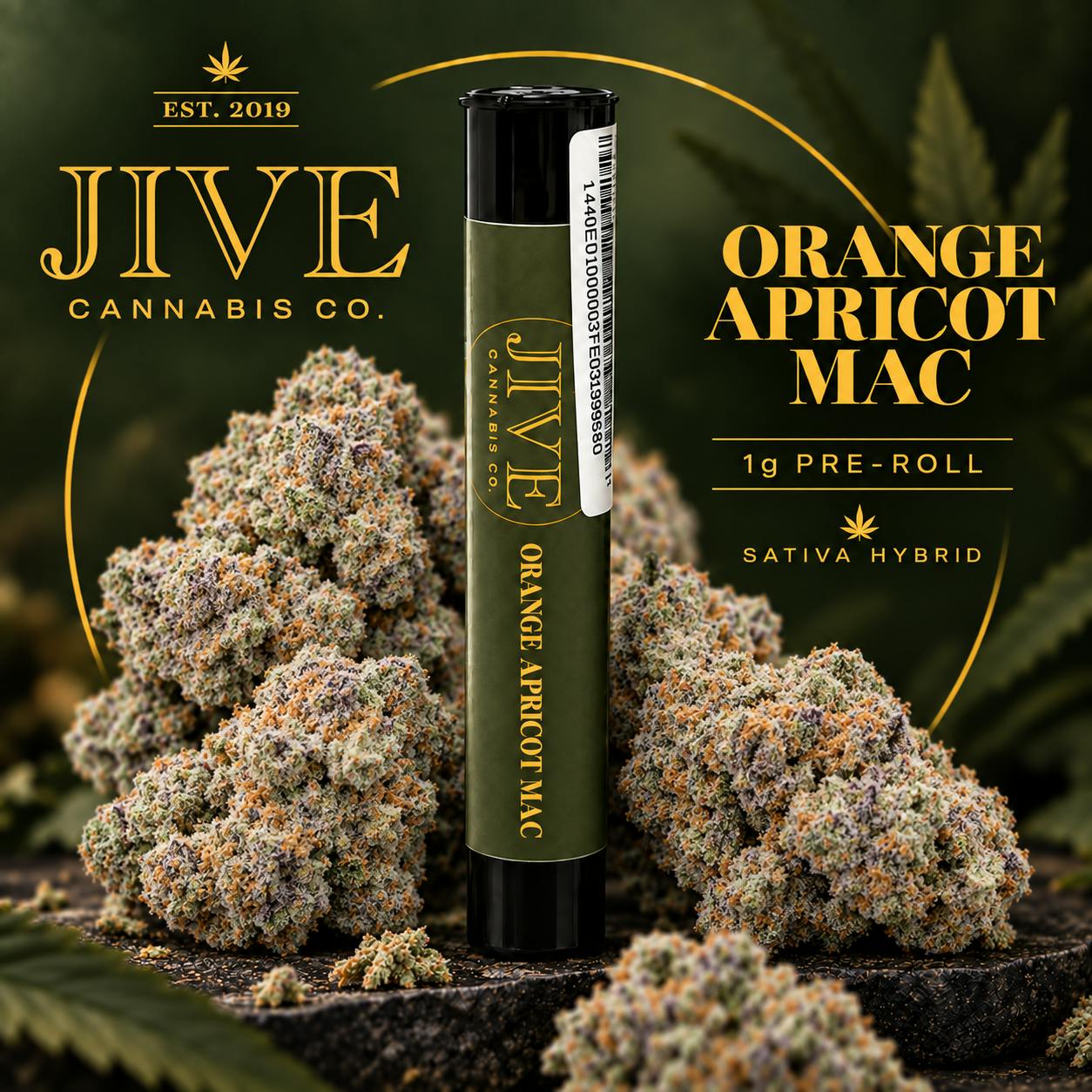 Jive Cannabis Co. | Orange Apricot Mac (Sativa) | Flower Preroll | 1g
