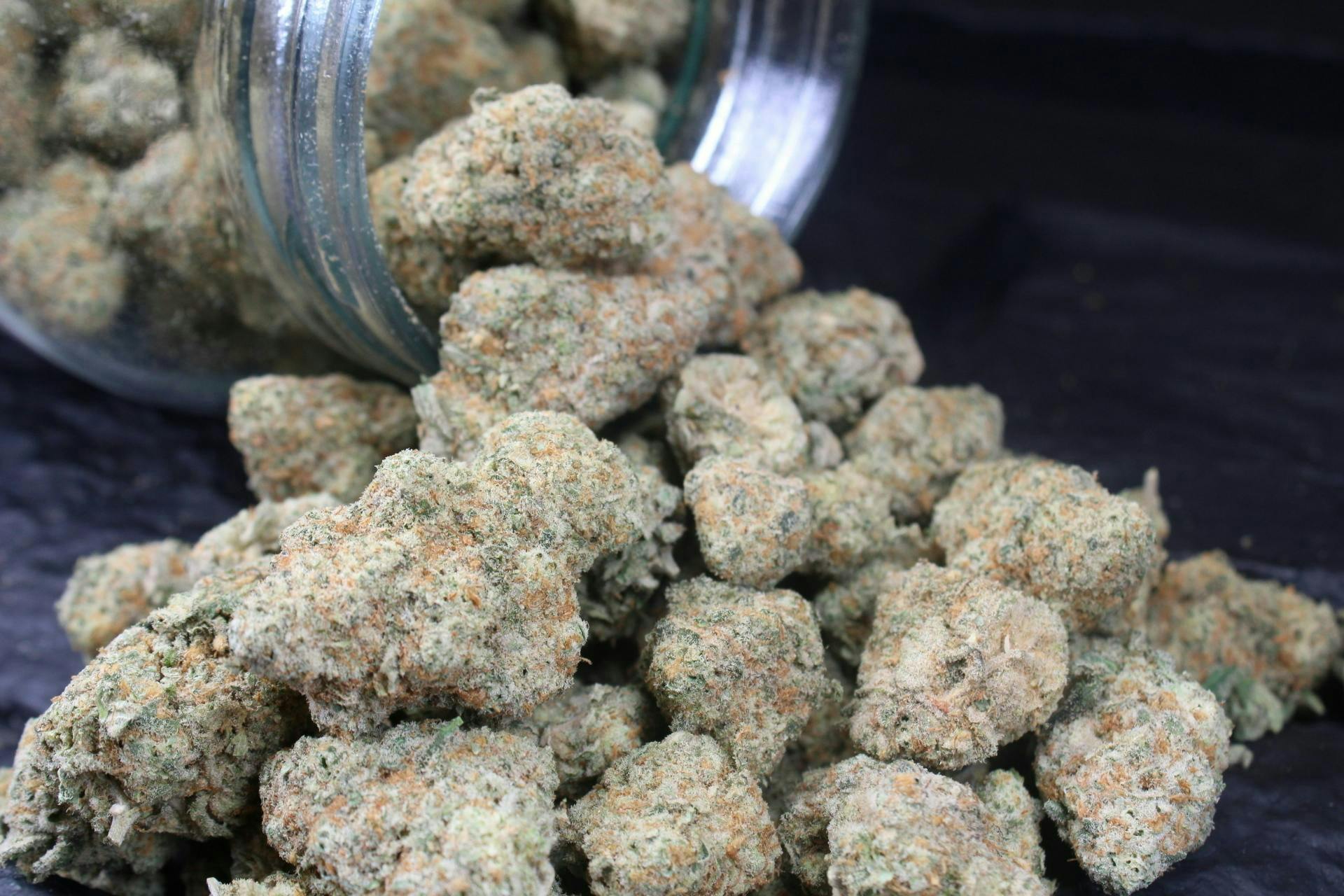 Jive Cannabis Co. | White Hot Guava (Hybrid) - 3.5g