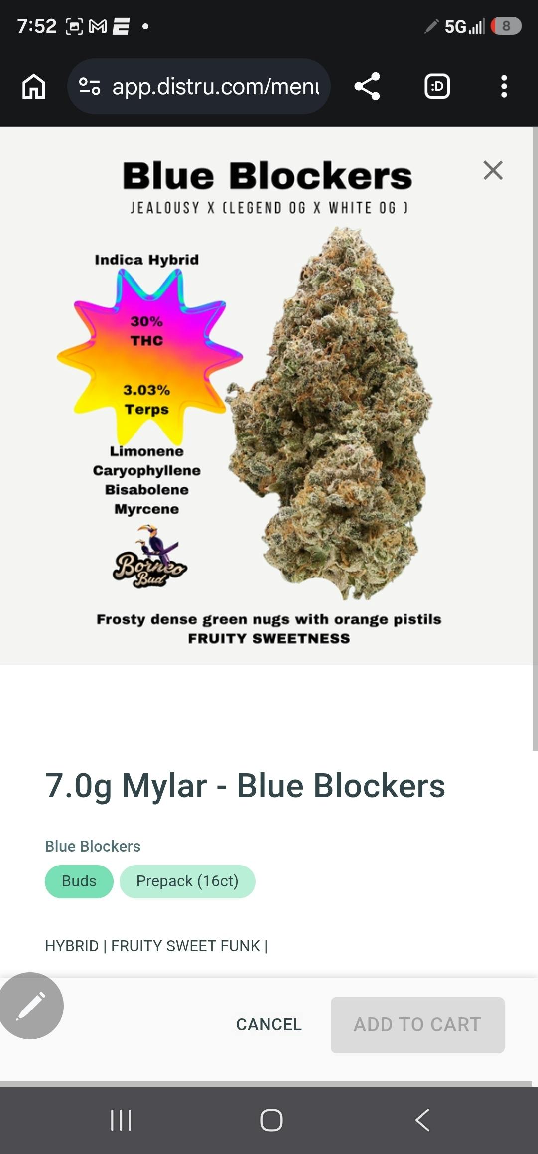 Blue Blockers | 7G Flower | Borneo Buds