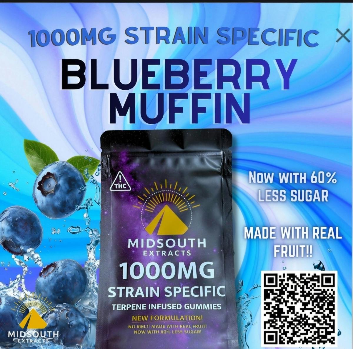Blueberry Muffin Gummies | 1000mg
