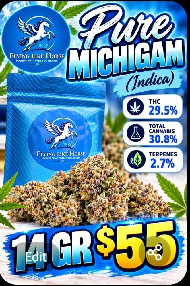 Pure Michigan | 14G Flower | Flying Like Horse