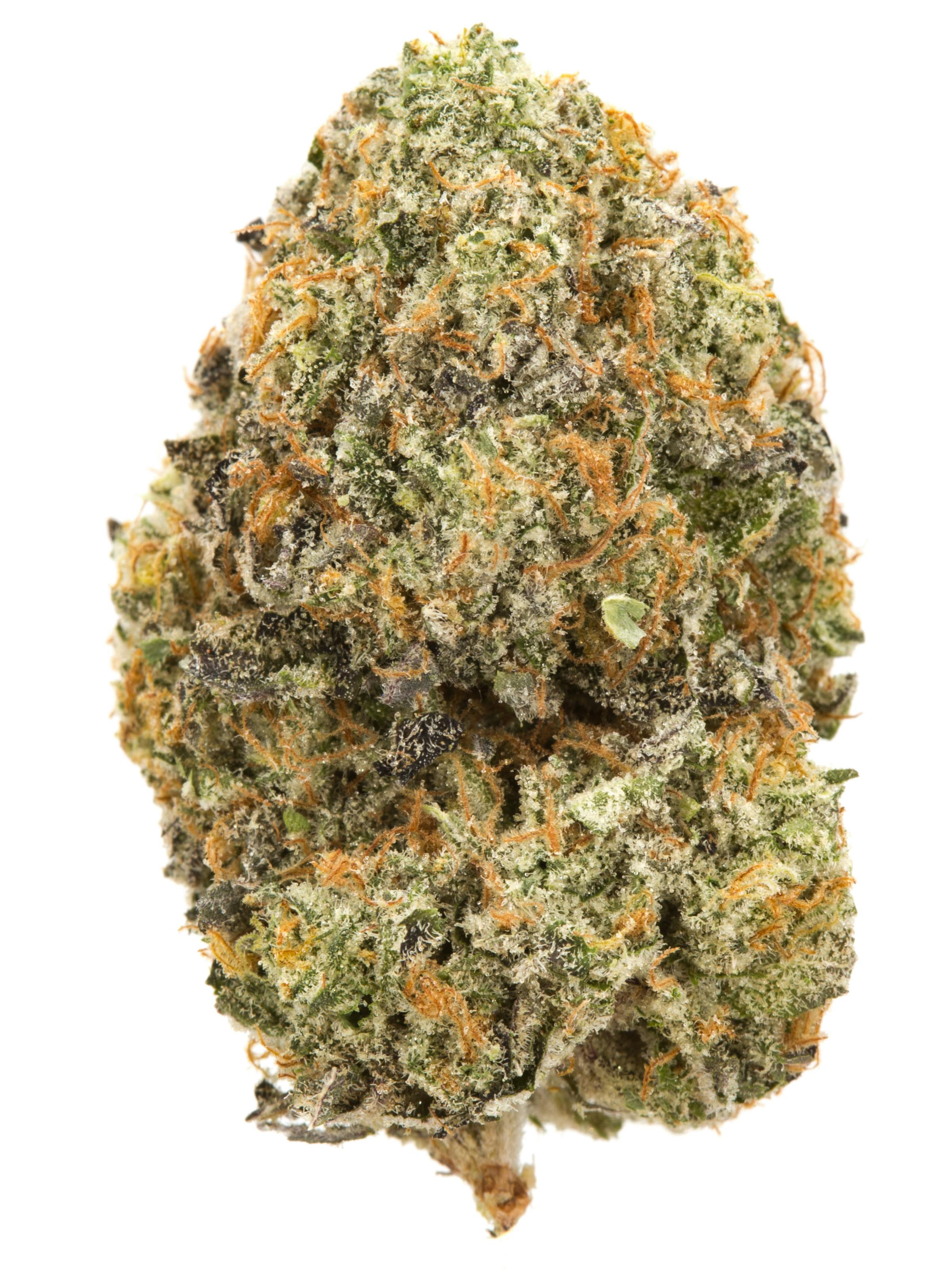 Truforia | Jelly Pie | Flower | 28G