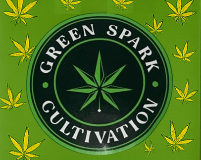 Green Spark Rs11